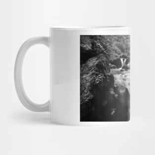 Swiss Falls-monochrome Mug